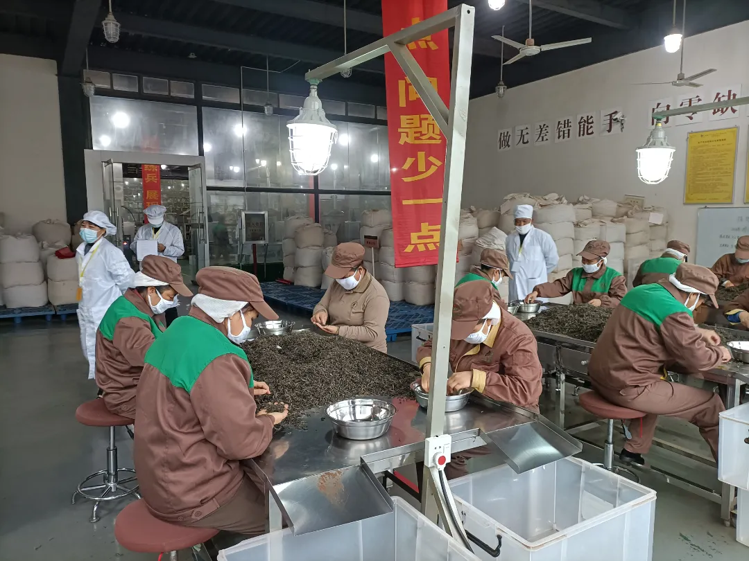 精益求精·鑄造品質(zhì)|六大茶山第十四屆技術大比武圓滿完成