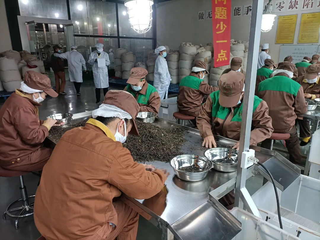 精益求精·鑄造品質(zhì)|六大茶山第十四屆技術大比武圓滿完成