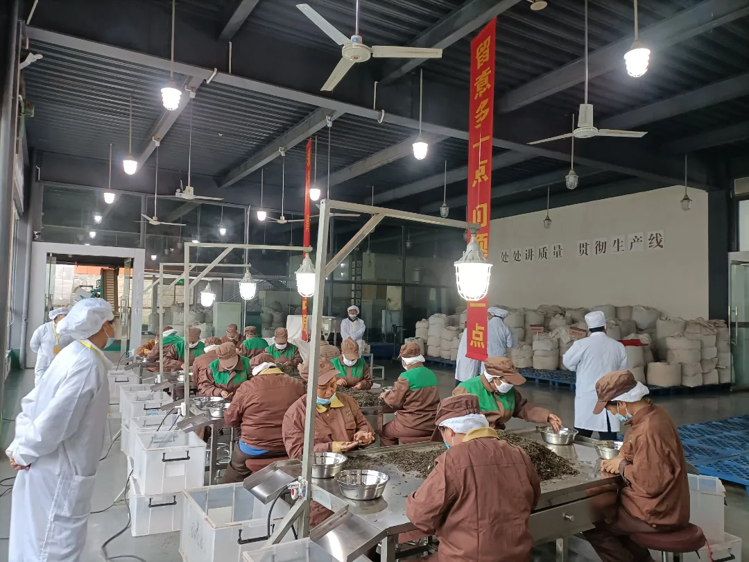 精益求精·鑄造品質(zhì)|六大茶山第十四屆技術大比武圓滿完成