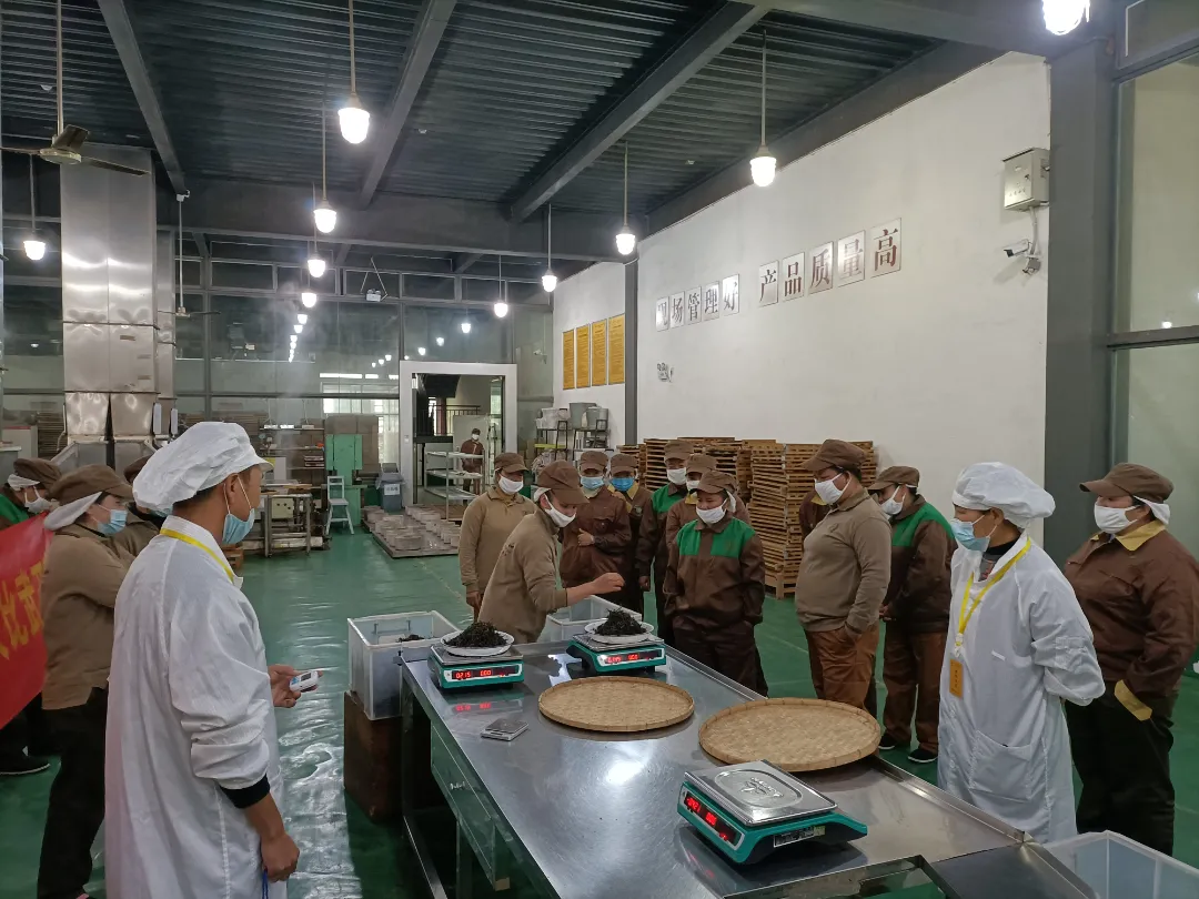 精益求精·鑄造品質(zhì)|六大茶山第十四屆技術大比武圓滿完成