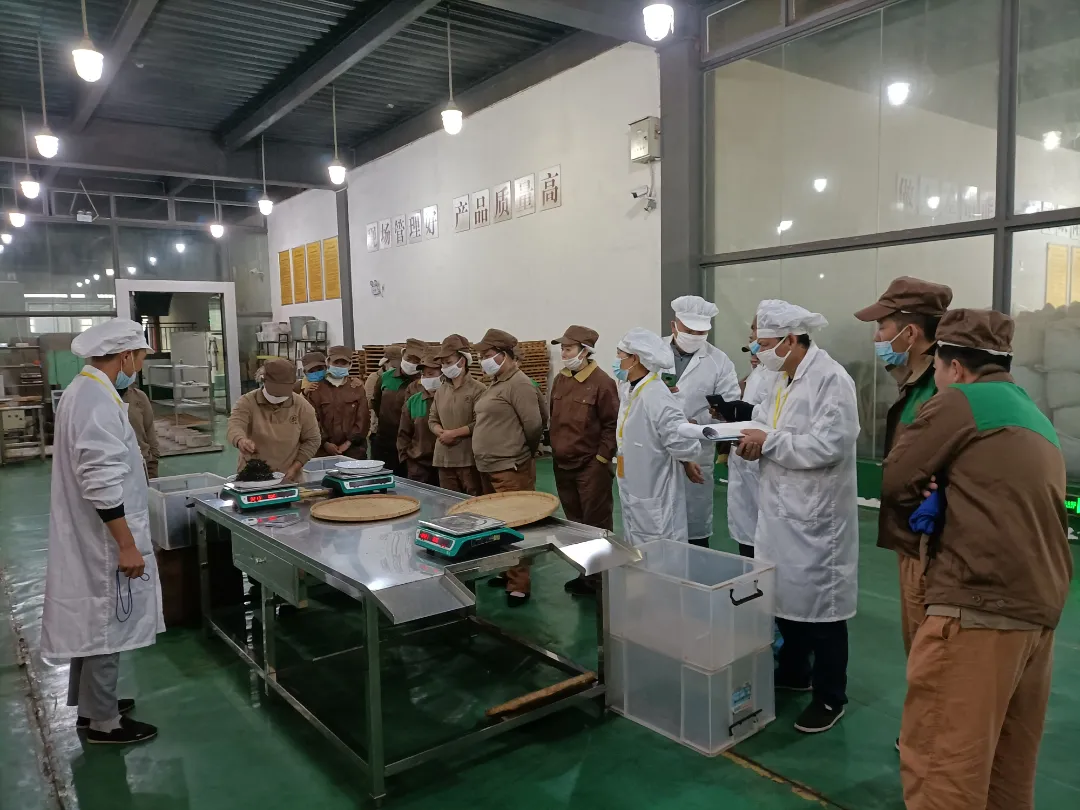 精益求精·鑄造品質(zhì)|六大茶山第十四屆技術大比武圓滿完成
