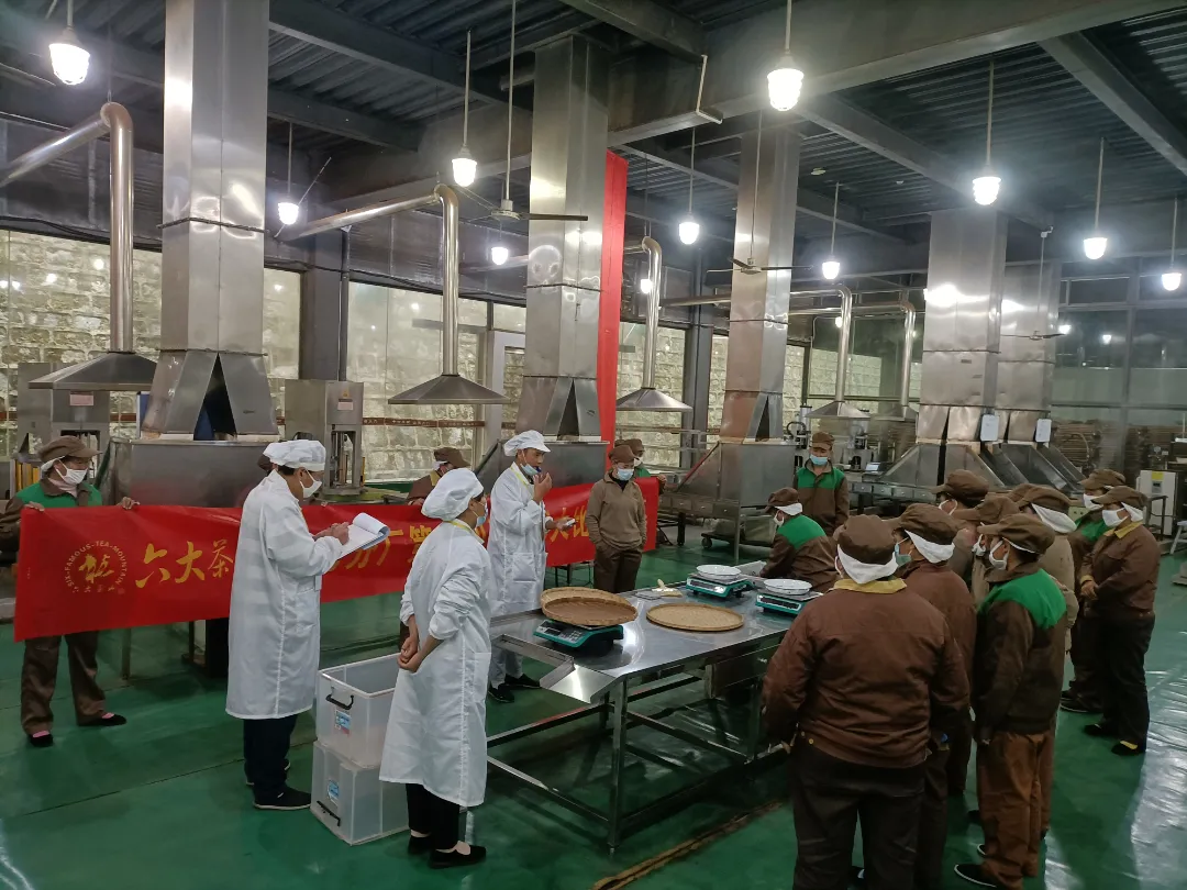 精益求精·鑄造品質(zhì)|六大茶山第十四屆技術大比武圓滿完成