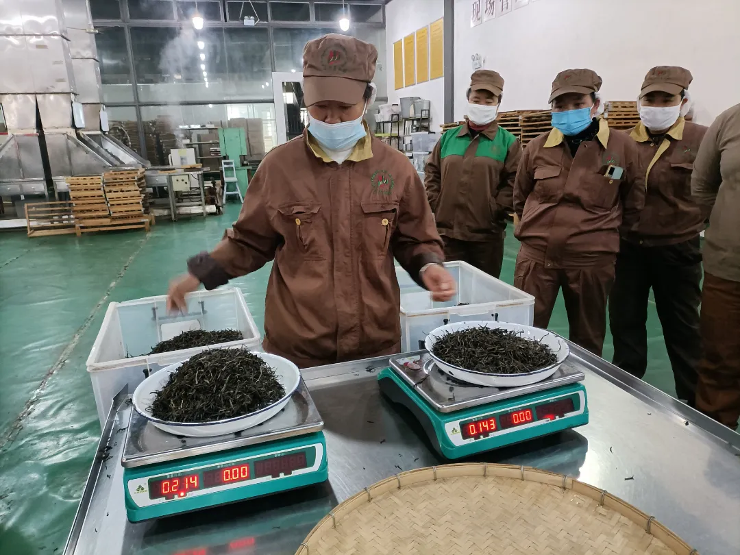 精益求精·鑄造品質(zhì)|六大茶山第十四屆技術大比武圓滿完成