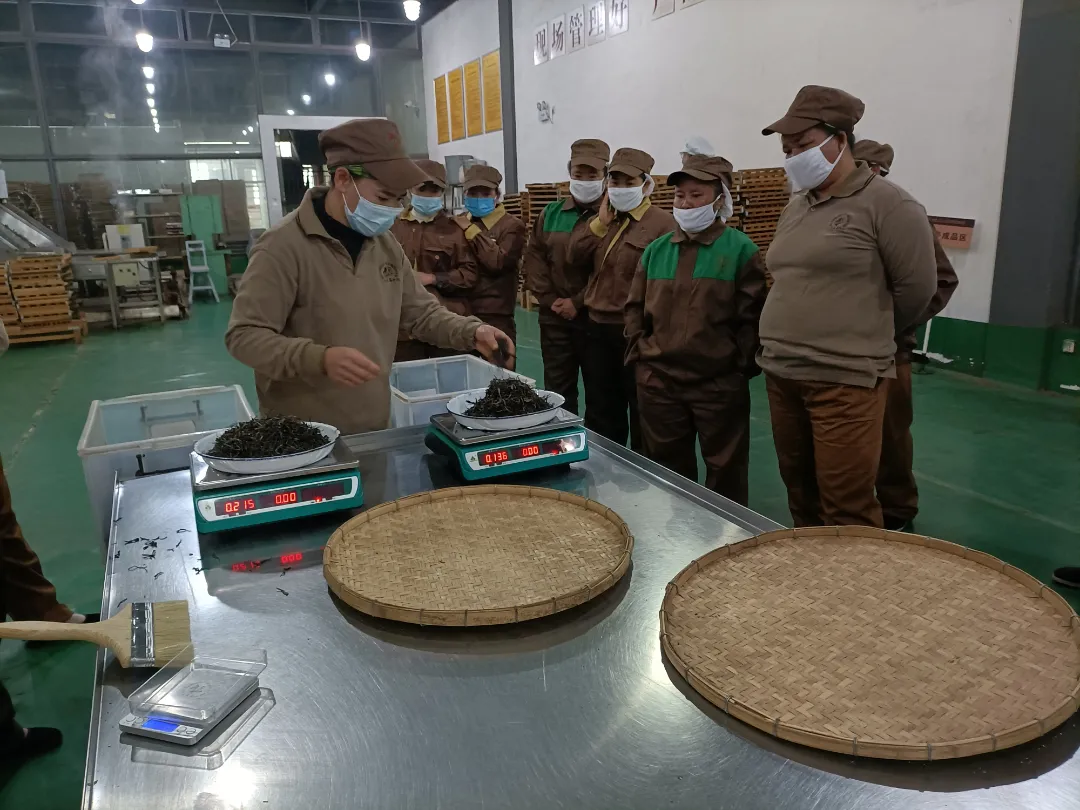 精益求精·鑄造品質(zhì)|六大茶山第十四屆技術大比武圓滿完成