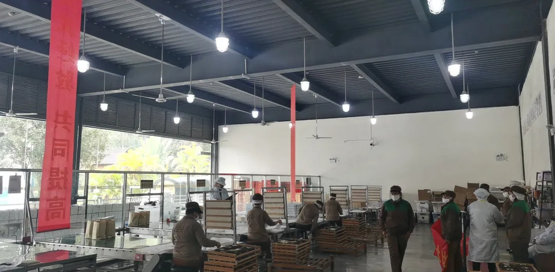 精益求精·鑄造品質(zhì)|六大茶山第十四屆技術大比武圓滿完成