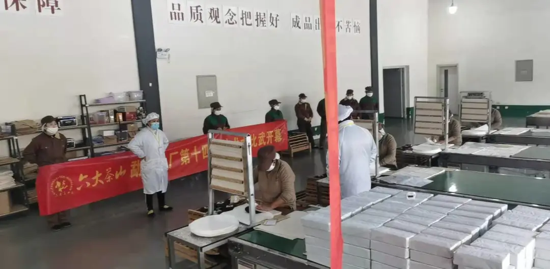 精益求精·鑄造品質(zhì)|六大茶山第十四屆技術大比武圓滿完成