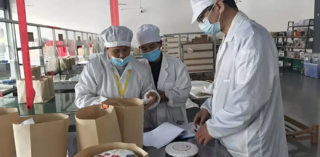 精益求精·鑄造品質(zhì)|六大茶山第十四屆技術大比武圓滿完成