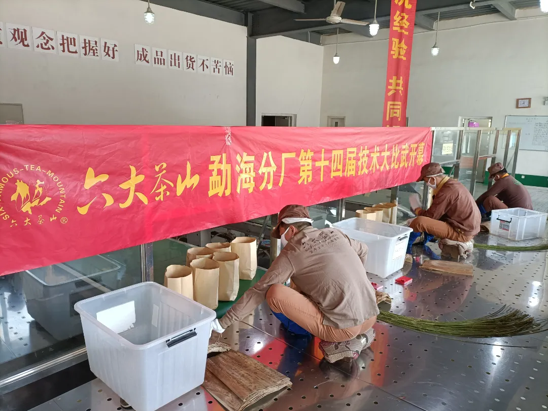 精益求精·鑄造品質(zhì)|六大茶山第十四屆技術大比武圓滿完成