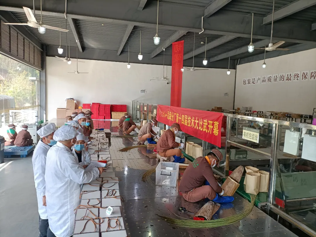 精益求精·鑄造品質(zhì)|六大茶山第十四屆技術大比武圓滿完成