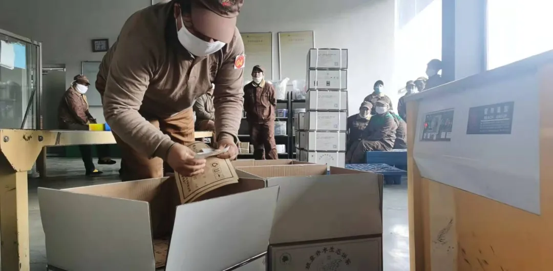 精益求精·鑄造品質(zhì)|六大茶山第十四屆技術大比武圓滿完成