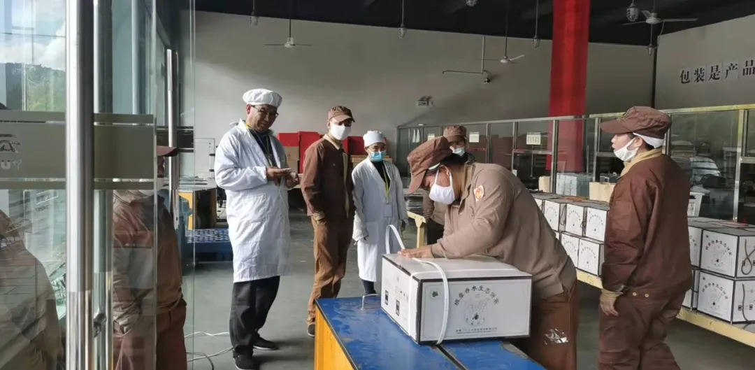 精益求精·鑄造品質(zhì)|六大茶山第十四屆技術大比武圓滿完成