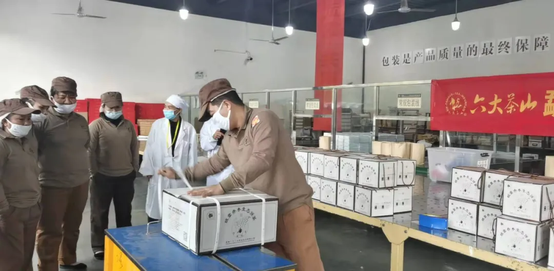精益求精·鑄造品質(zhì)|六大茶山第十四屆技術大比武圓滿完成