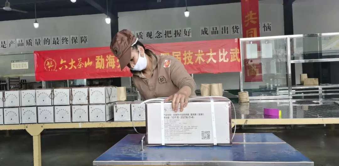 精益求精·鑄造品質(zhì)|六大茶山第十四屆技術大比武圓滿完成